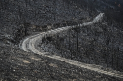 Après les incendies
