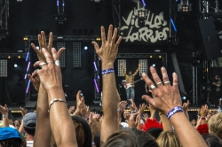 Festival des Vielles Charrues 2005