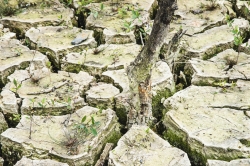 Vidange du lac de Guerlédan